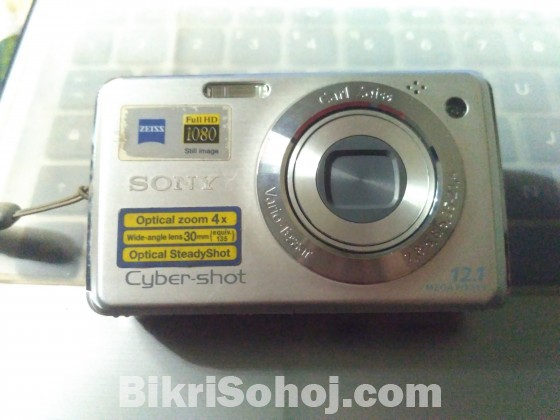 Sony Cybershot DSC-W220 (Carl Zeiss)